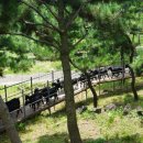 매정목장 이미지