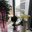 팡헤어