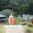 사주명리학과 생활역학 이미지