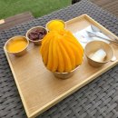 제주 감성 가득한 하루 서귀포 여행 코스 &lt;본태박물관 -방주교회-제주신라(망고빙수)-오설록 티뮤지엄&gt;