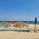 명태의 꿈(아트벤치 이미지