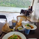 나인 | 애견동반카페 리버나인 후기