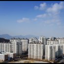 수목토 이미지