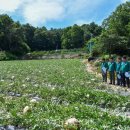 김병기농가 이미지