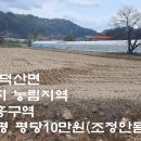 제천시 덕산면 농업진흥구역 답1010평 평당10만원 이미지