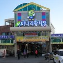 미나리광 이미지