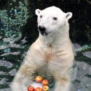 통키통키 이미지