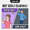 리턴투핏 이미지
