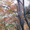 도연장칼국수 | '현실도피자' reality is also pizza