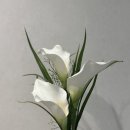 카라인테리어 | 웨딩 브라이덜샤워 선물 추천 조화부케 심플한 화이트 카라부케 후기