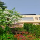 행주산성로 이미지