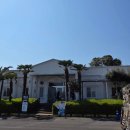 초록코끼리(주) | 제주 점보빌리지 후기｜아이와 가기 좋은 코끼리 공연 체험