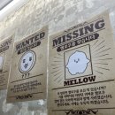 [성수 팝업스토어] &#39;모리스&amp;보리스 행운 던전&#39; 팝업스토어 방문 후기!