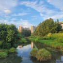 유진회집 이미지