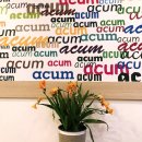 아쿰(ACUM)
