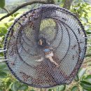 유가농장 이미지