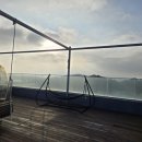 별스런 산책 이미지