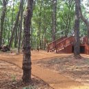 유아숲체험원(2) 이미지