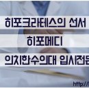 메디노크 이미지