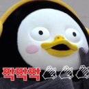 세심헬스 이미지