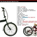 bmw mini 폴딩 자전거 판매합니다. 이미지