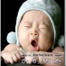 귀여운아기 이미지