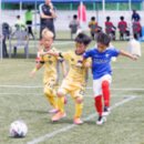 김화생활체육공원(축구장) 이미지