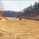 부용골농장 이미지