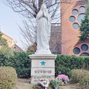 성모결혼정보