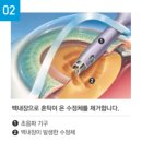 동그라미 이미지