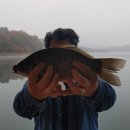 연론낚시터 이미지