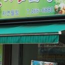 장어와미꾸라지 이미지