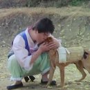 영구와땡칠이