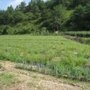 이용기농장 이미지