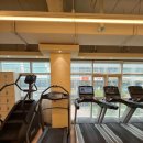 파인드짐 | 시설부터 트레이너까지 완벽! 마곡 파인드짐 헬스장 후기