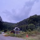 초리골막국수
