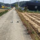 뜰과풍경 이미지