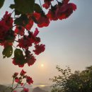 둔덕농장3 이미지