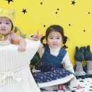 인공지능(AI) ChatGPT에게 詩한 편 해석을 맡기다(17탄) 이미지