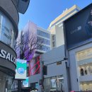 케이팝(K-POP)노래연습장 네이버블로그