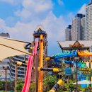 롯데워터파크 이미지