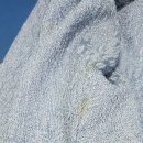 얼룩빼기이박사 이미지