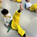 인계스타태권도장 이미지