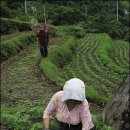 하늘아래 첫동네 이미지