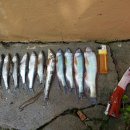 토하펜션 이미지