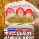 하츠베이커리 이미지