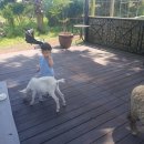 가율목장 이미지