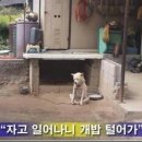 영천돌메기매운탕 이미지