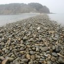 내파수도 Daum카페