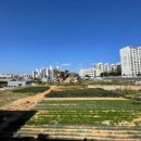 반다비체육센터 다목적실 이미지